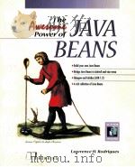 THE AWESOME POWER OF JAVA BEANS   1998  PDF电子版封面  1884777562   