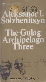 THE GULAG ARCHIPELAGO 1918-1956   1976  PDF电子版封面  0060803967  ALEKSANDR I. SOLZHENITSYN 