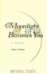 MOONLIGHT BECOMES YOU A NOVEL   1996  PDF电子版封面  0684810387   