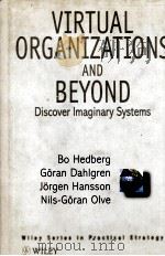 VIRTUAL ORGANIZATIONS AND BEYOND     PDF电子版封面     