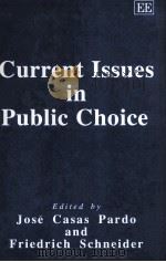 CURRENT ISSUES IN PUBLIC CHOICE   1995  PDF电子版封面  1858981344   