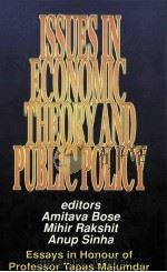 ISSUES IN ECONOMIC THEORY AND PUBLIC POLICY ESSAYS IN HONOUR OF PROFESSOR TAPAS MAJUMDAR   1997  PDF电子版封面  0195639499   
