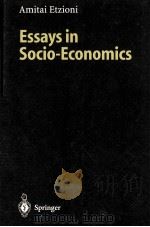 ESSAYS IN SOCIO-ECONOMICS   1999  PDF电子版封面  3540644660   