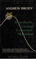SLOWDOWN GLOBAL ECONOMIC MALADIES   1985  PDF电子版封面  080392352X  ANDREW BRODY 