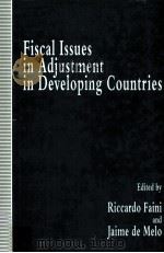 FISCAL ISSUES IN ADJUSTMENT IN DEVELOPING COUNTRIES（1993 PDF版）