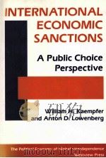 INTERNATIONAL ECONOMIC SANCTIONS A PUBLIC CHOICE PERSPECTIVE   1992  PDF电子版封面  0813380456   