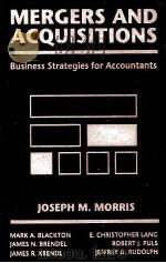 MERGER&ACQUISITIONS BUSINESS STRATEGIES FOR ACCOUNTANTS   1994  PDF电子版封面  0471570176   