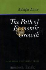 THE PATH OF ECONOMIC GROWTH ADOLPH LOWE   1976  PDF电子版封面  9780521125338  EDWARD J.NELL 