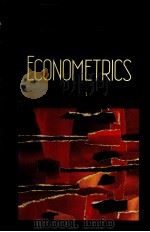 THE NEW PALGRAVE ECONOMETRICS   1990  PDF电子版封面  0333495438   