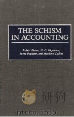 THE SCHISM IN ACCOUNTING   1994  PDF电子版封面  0899306993   