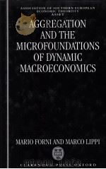 AGGREGATION AND THE MICROFOUNDATIONS OF DYNAMIC MACROECONOMICS（1997 PDF版）
