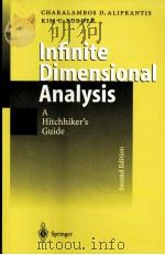 INFINITE DIMENSIONAL ANALYSIS A HITCHHIKER'S GUIDE SECOND COMPLETELY REVISED AND ENLARGED EDITI   1999  PDF电子版封面  3540658548   