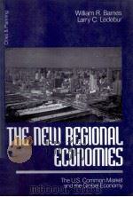 THE NEW REGLONAL ECONOMIES   1997  PDF电子版封面  0761909397   