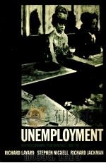 UNEMPLOYMENT   1991  PDF电子版封面  0198284349   