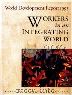 WORKERS IN AN INTEGRATING WORLD   1995  PDF电子版封面  0195211022   