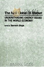 THE NEW GLOBAL OIL MARKET UNDERSTANDING ENERGY ISSUES IN THE WORLD ECONOMY（1995 PDF版）