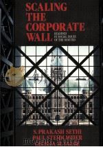 SCALING THE CORPORATE WALL   1991  PDF电子版封面  0137933401   