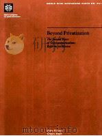BEYOND PRIVATIZATION（1996 PDF版）