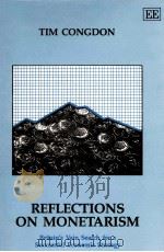 REFLECTIONS ON MONETARISM   1992  PDF电子版封面  1852784415  TIM CONGDON 