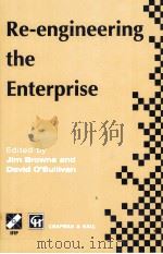 RE-ENGINEERING THE ENTERPRISE（1995 PDF版）