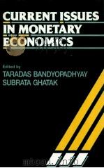 CURRENT ISSUES IN MONETARY ECONOMICS   1990  PDF电子版封面  0745001289   