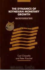 THE DYNAMICS OF KEYNESIAN MONETARY GROWTH:MACRO FOUNDATIONS   1999  PDF电子版封面  9780521180184   