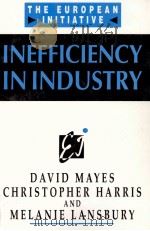 INEFFICIENCY IN INDUTRY   1985  PDF电子版封面  0471891762   