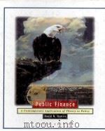 PUBLIC FINANCE A CONTEMPORARY APPLICATION OF THEORY TO POLICY FIFTH EDITION   1996  PDF电子版封面  0030113172  DAVID N.HYMAN 