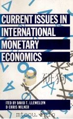CURRENT ISSUES IN INTERNATIONAL MONETARY ECONOMICS   1990  PDF电子版封面  0333453506   