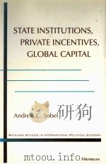 STAT INSTITUTIONS PRIVATE INCENTIVES GLOBAL CAPITAL   1999  PDF电子版封面  0472110055   