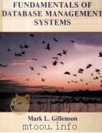 FUNDAMENTALS OF DATABASE MANAGEMENT SYSTEMS（ PDF版）