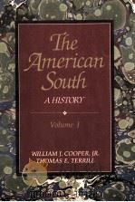 THE AMERICAN SOUTH A HISTORY   1991  PDF电子版封面  9780070637412   