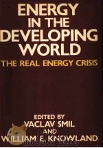 ENERGY IN THE DEVELOPING WORLD:THE REAL ENERGY CRISIS（1980 PDF版）