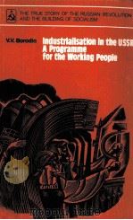 INDUSTRIALISATION IN THE USSR:A PROGRAMME FOR THE WORKING PEOPLE   1980  PDF电子版封面    V.V.BORODIN 