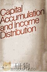 CAPITAL ACCUMULATION AND INCOME DISTRIBUTION   1978  PDF电子版封面  0710089236   