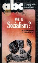 WHAT IS SOCIALISM?（1986 PDF版）