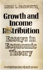 GROWTH AND INCOME DISTRIBUTION ESSAYS IN ECONOMIC THEORY（1979 PDF版）