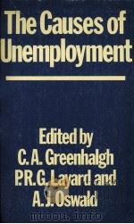 THE CAUSES OF UNEMPLOYMENT   1983  PDF电子版封面  0198284845   