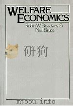 WELFARE ECONOMICS   1984  PDF电子版封面  0631133275   