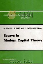 ESSAYS IN MODERN CAPITAL THEORY（1976 PDF版）