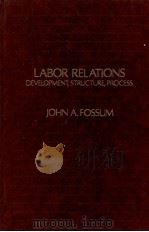 LABOR RELATIONS DEVELOPMENT STRUCTURE PROCESS REVISED EDITION   1982  PDF电子版封面    JOHN A.FOSSUM 