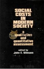 SOCIAL COSTS IN MODERN SOCIETY A QUALITATIVE AND QUANTITATIVE ASSESSMENT（1983 PDF版）