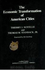 THE ECONOMIC TRANSFORMATION OF AMERICAN CITIES   1983  PDF电子版封面    THIERRY J.NOYELLE 