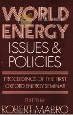 WORLD ENERGY ISSUES AND POLICIES   1980  PDF电子版封面  0199201196  ROBERT MABRO 