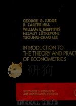 INTRODUCTION TO THE THEORY AND PRACTICE OF ECONOMETRICS   1982  PDF电子版封面  0471082775   
