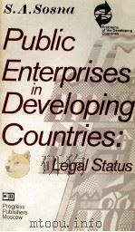 PUBLIC ENTERPRISES INDEVELOPING COUNTRIES:LEGAL STATUS   1983  PDF电子版封面    S.A.SOSNA 
