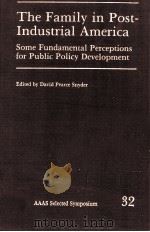 THE FAMILY IN POST-INDUSTRIAL AMERICA SOME FUNDAMENTAL PERCAEPTIONS FOR PUBLIC POLICY DEVELOPMENT   1979  PDF电子版封面  089158482X   