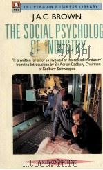 THE SOCIAL PASYCHOLOGY OF INDUSTRY HUMAN RELATIONS IN THE FACTORY   1954  PDF电子版封面  9780140091090  J.A.C.BROWN 