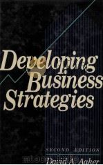 DEVELOPING BUSINESS STRATEGIES SECOND EDITION   1984  PDF电子版封面  0471602965  DAVID A.AAKER 