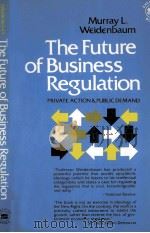 THE FUTURE OF BUSINESS REGULATION PRIVATE ACTION AND PUBLIC DEMAND   1980  PDF电子版封面  0814455212   
